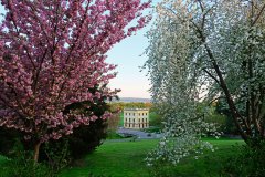 Marmorbad im Frühling